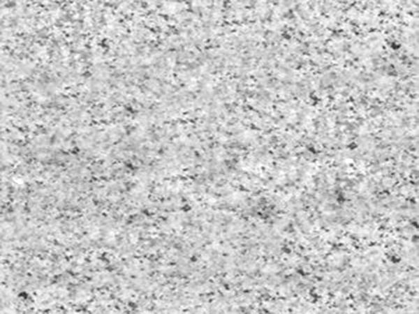 山东白麻为何适合做水景？